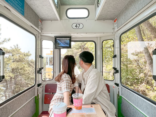 天空膠囊列車太美了✨必須去一趟釜山！！🚡