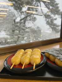 【金沢】幻想的な雪景色の兼六園