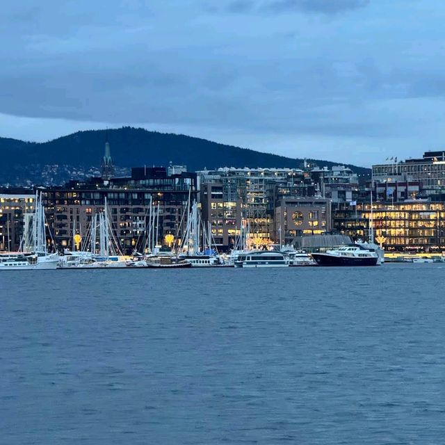 Norwegian Fjords