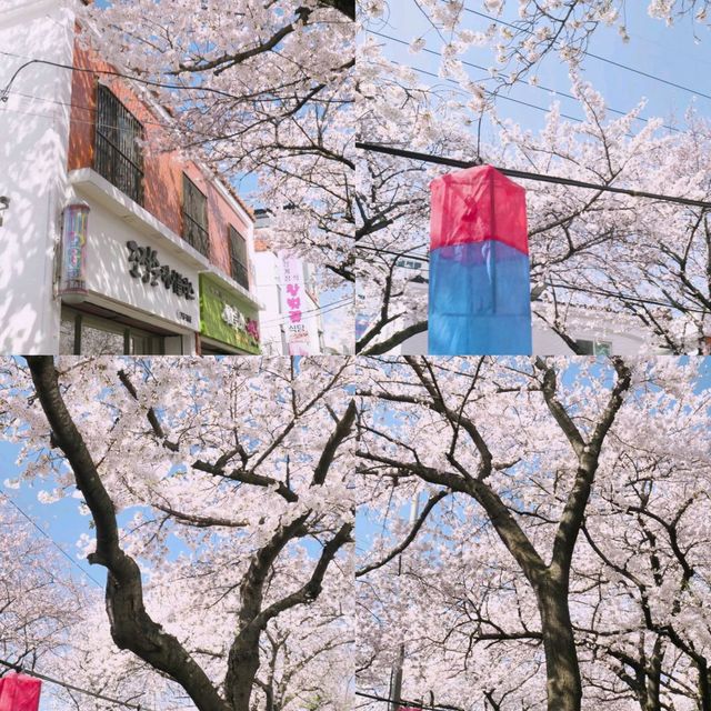 南韓濟州