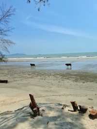 LET THE CALMNESS OF THE SEA REFRESH OUR MIND AND BODY