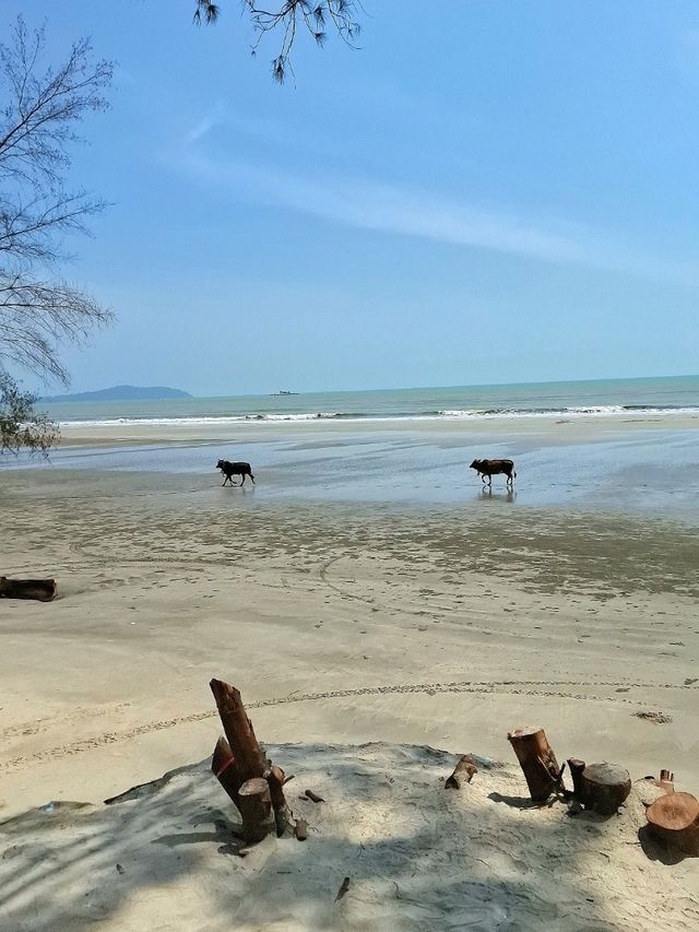 LET THE CALMNESS OF THE SEA REFRESH OUR MIND AND BODY
