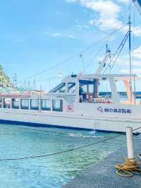 天然記念物！鯛の浦で夏の千葉を楽しもう！