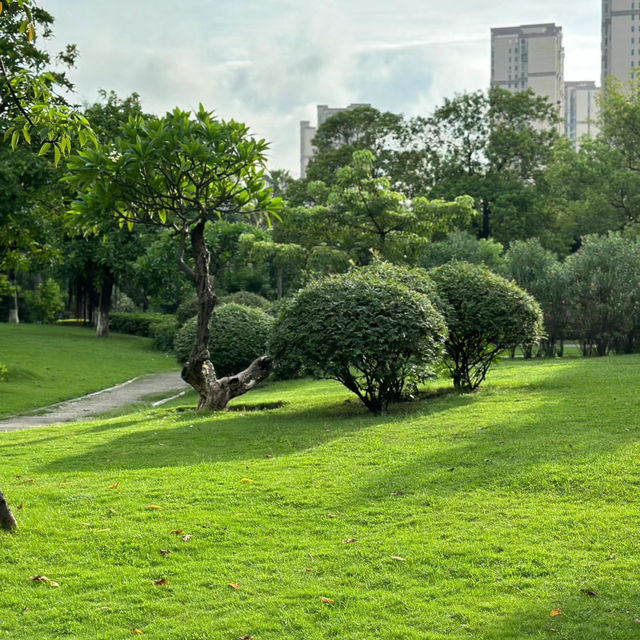 桃花濕地公園 | 水景秀麗