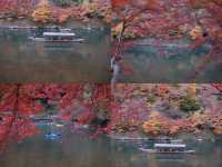 Điểm đến lý tưởng vào mùa thu tại Kyoto