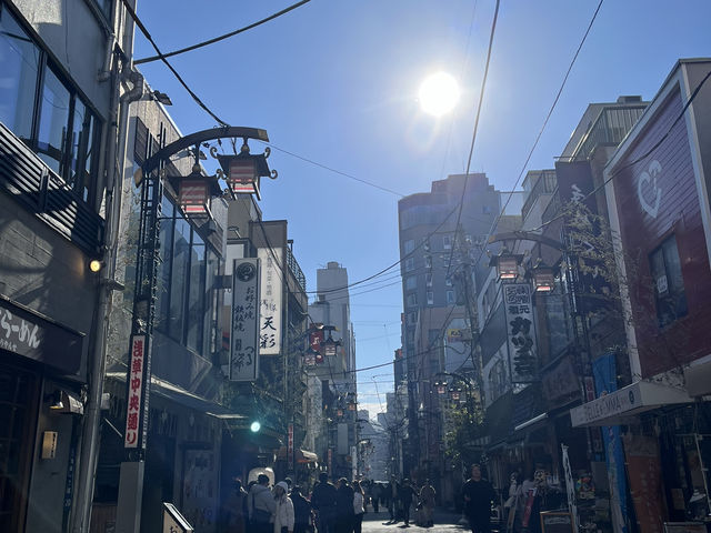東京之遊