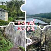 天母古道親山步道 | 清新綠野的悠然