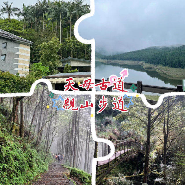 天母古道親山步道 | 清新綠野的悠然