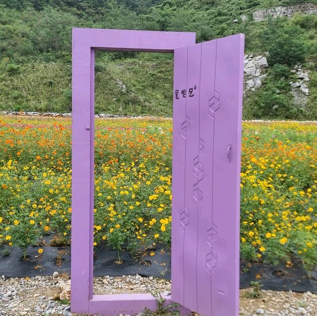 여기가 석회석을 채광하던 곳이라고??