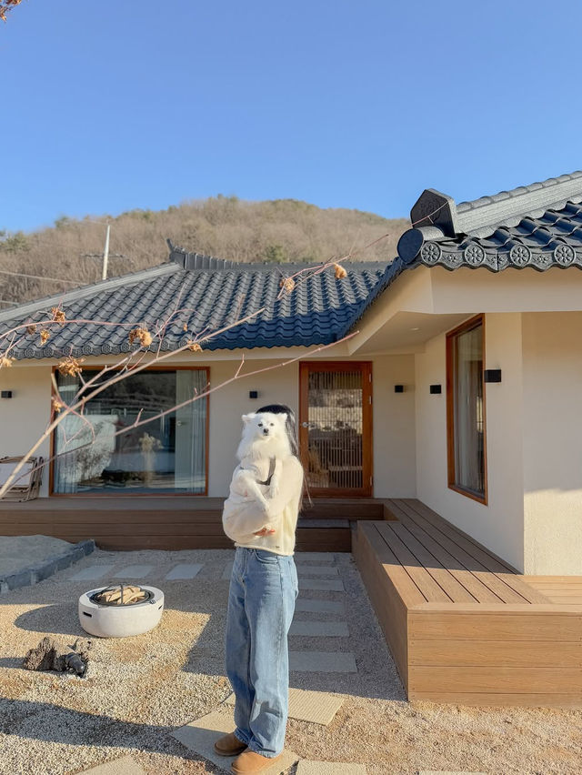 공주에서 만나는 애견동반 신상 숙소, 스테이더담✨🤎 