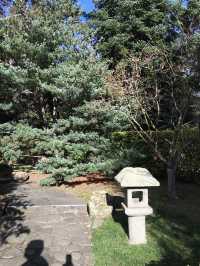 A Rare View of Antartica at the Royal Tasmanian Botanical Garden in Hobart
