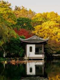 Quyuan Fenghe