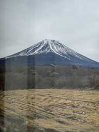 富士山秘境🗻富士古典飯店 富士クラシックホテル #東京近郊
