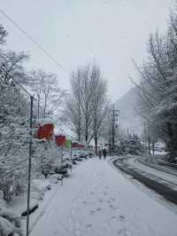 救仁寺📺 冬天去不怕賞不到雪 太多雪了