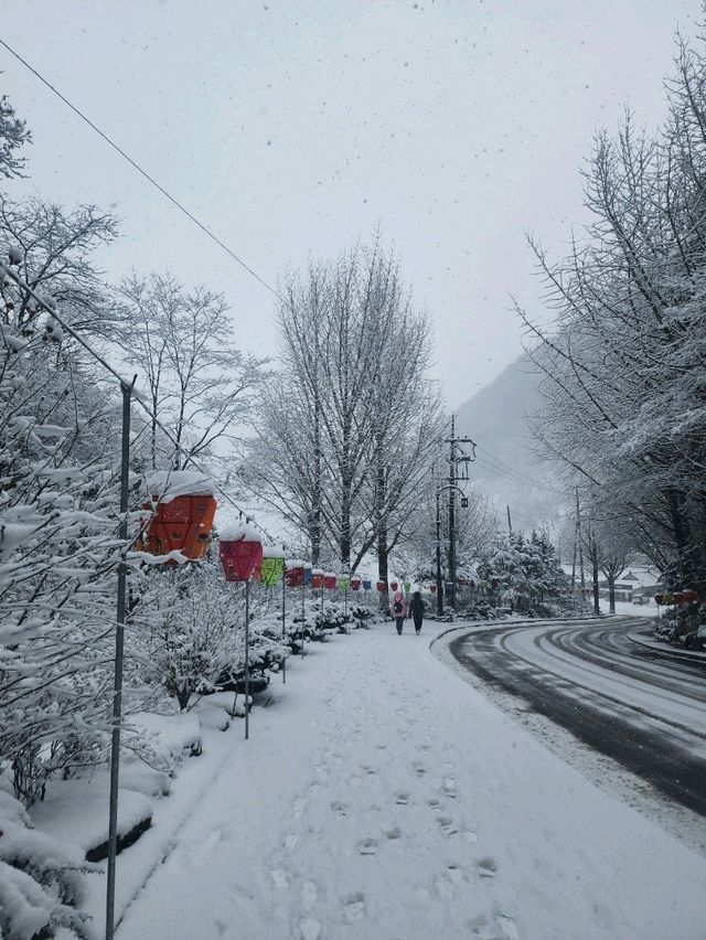 救仁寺📺 冬天去不怕賞不到雪 太多雪了