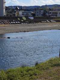 Tajimi Bridge Dream Plaza: A Riverside Hidden Gem 