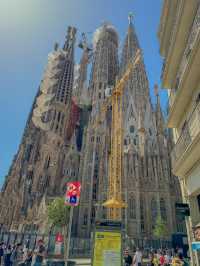 🇪🇸세계에서 가장 아름다운 공사중인 건축물은 바로 바르셀로나의 사그라다 파밀리아 대성당🇪🇸
