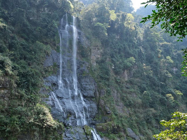 What would it be like if you visit Wulai in the spring?🌿