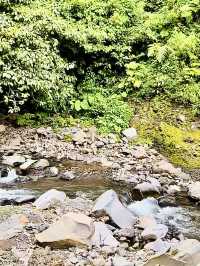 Hidden Paradise of Lush Green Wonders