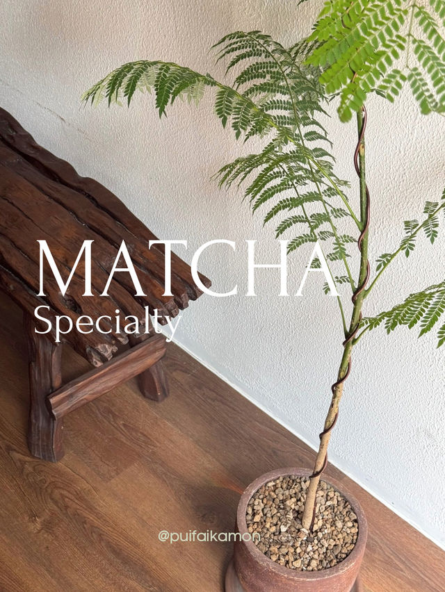 Matcha 🍵🍡 รวมร้านมัทฉะที่ได้ลองและชอบ 🍃