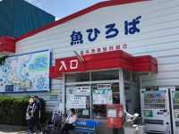 【愛知県🇯🇵魚ひろば】