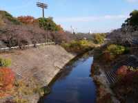 Yamazaki River Four Seasons Road (山崎川四季の道)
