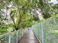 "Mandai Boardwalk: A Tranquil Gateway to Singapore’s Wild Side"