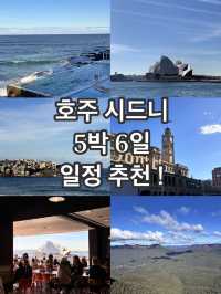 호주 시드니 5박 6일 오페라 하우스부터 본다이비치까지!