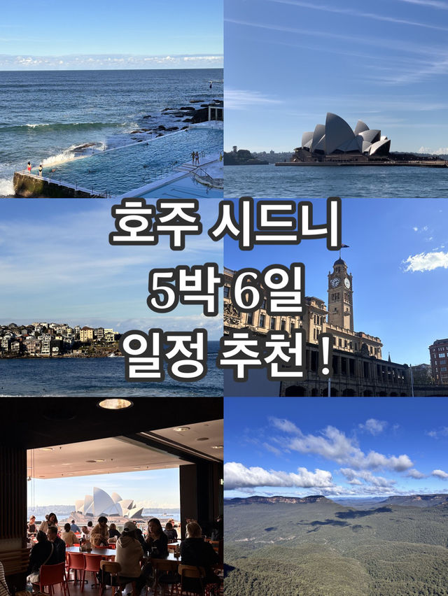 호주 시드니 5박 6일 오페라 하우스부터 본다이비치까지!
