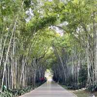 珠海中山公園｜空氣清新休閒之地