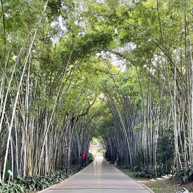珠海中山公園｜空氣清新休閒之地