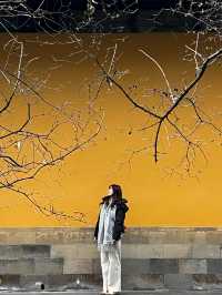 More than just a temple, Xiyuan is a journey into Suzhou’s soul💛