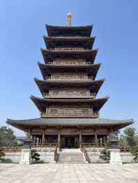 【上海の古刹】500年の歴史ある宝山寺でまったり