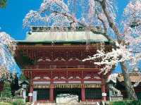 Chasing Sakura at Shiwahiko and Shiogama Shrines