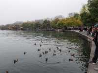 “Hangzhou 1 day trip”