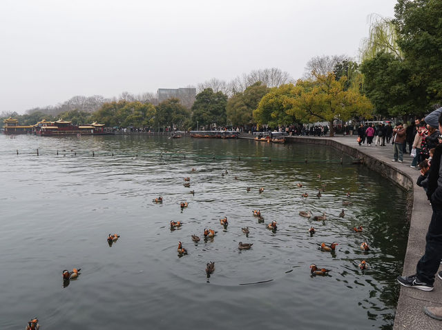 “Hangzhou 1 day trip”