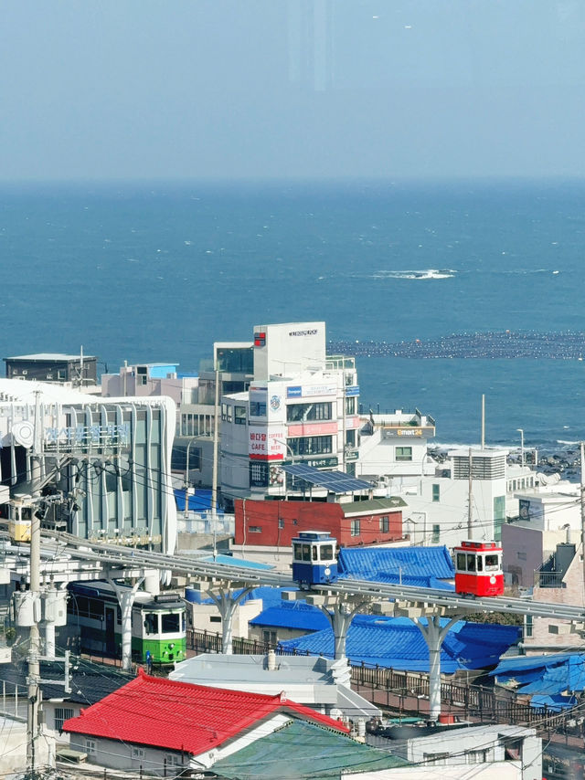 미포 해변열차, 바다 옆으로 달리는 낭만 열차 🚂🌊