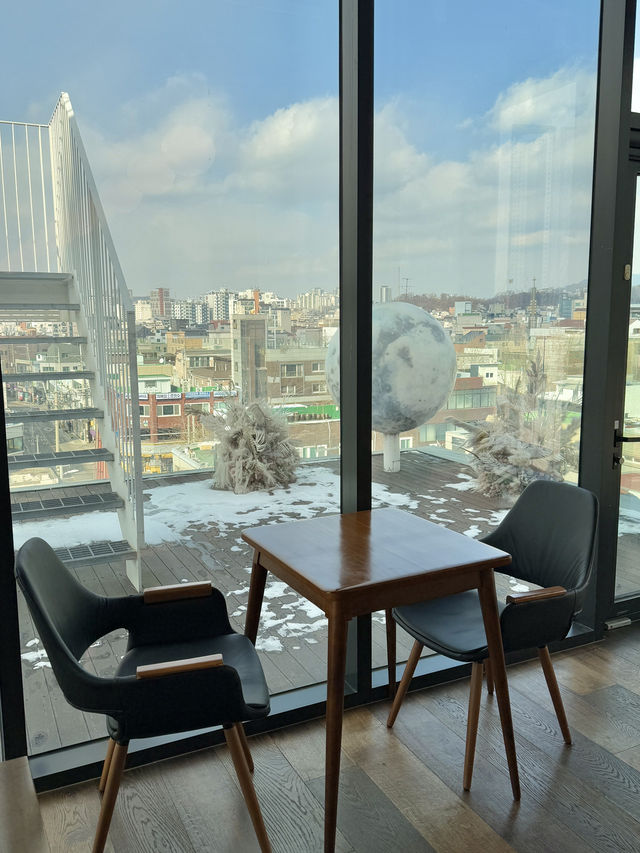 햇빛 잘 들어오는 채광 예쁜 합정 카페☀️