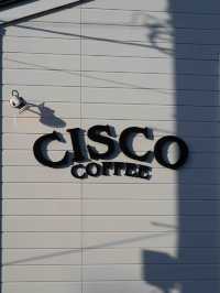 CISCOカフェ河口湖 ☕🏞️ 湖畔の絶景カフェでまったりタイム