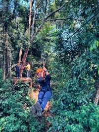 ตาดฟาน -​ Zipline