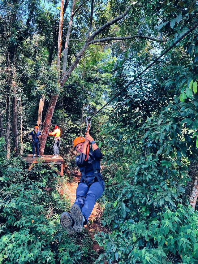 ตาดฟาน -​ Zipline