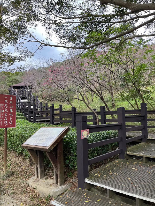 🌸** 豐富的自然景觀與迷人的櫻花林步道**🌸