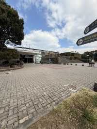 【済州島】見どころたっぷり✨済州が学べる博物館✨