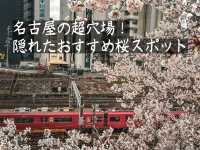【名古屋】都会のオアシスに咲く桜を満喫できる穴場スポット✨🌸  