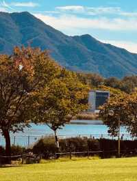 Misagyeongjeong in Bloom: Spring Colors by the Lakeside Promenade