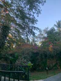 🇵🇭Holistic Sanctuary at The Farm at San Benito💙Must do! 