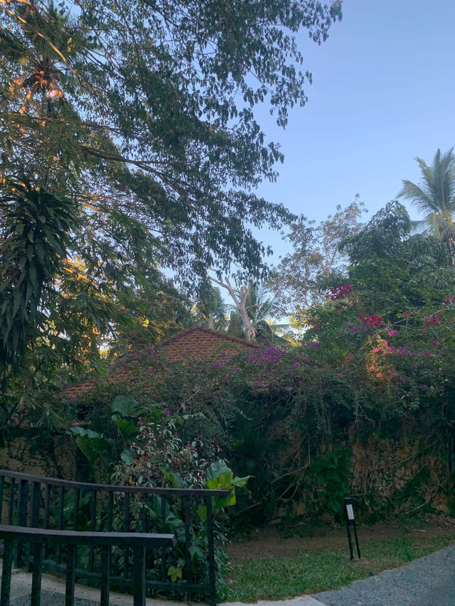 🇵🇭Holistic Sanctuary at The Farm at San Benito💙Must do! 