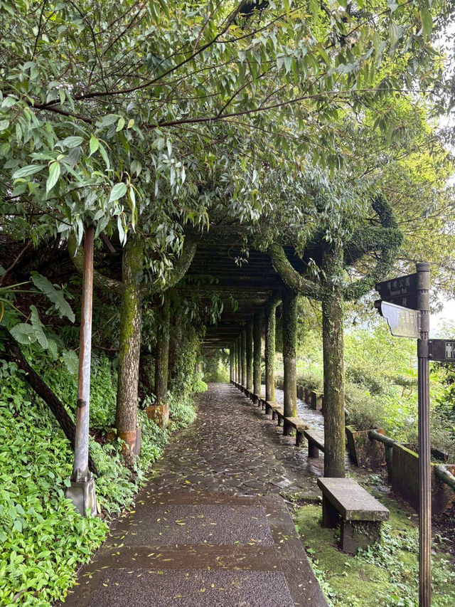 【陽明山国家公園｜大屯瀑布區】森の奥で、ただ水音に耳を澄ます