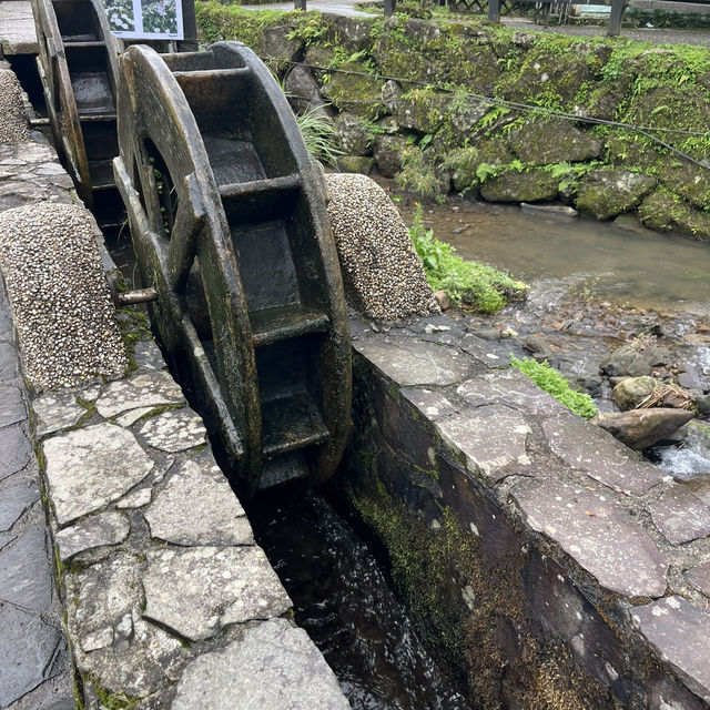 【陽明山国家公園｜竹子湖】霧の中で味わう、やさしいスモークチキン
