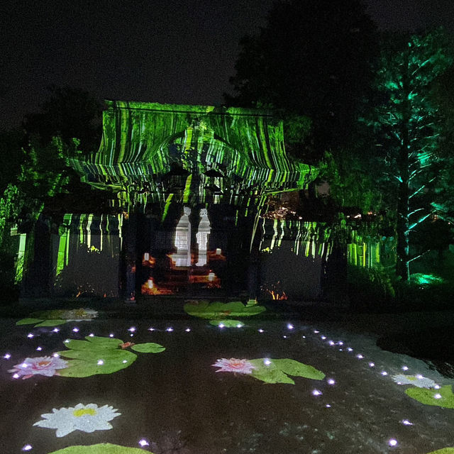 Kodaiji's Spring Illumination Night Show